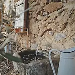 La Potentille Lieuran-Cabrieres