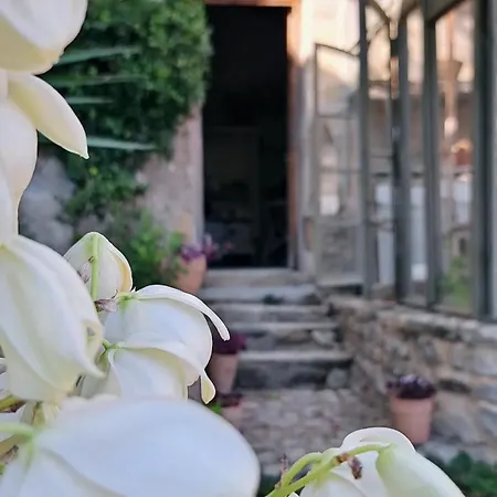Guest house La Potentille