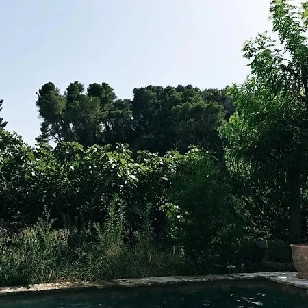 La Potentille Guest house 3*